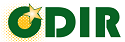 ODIR